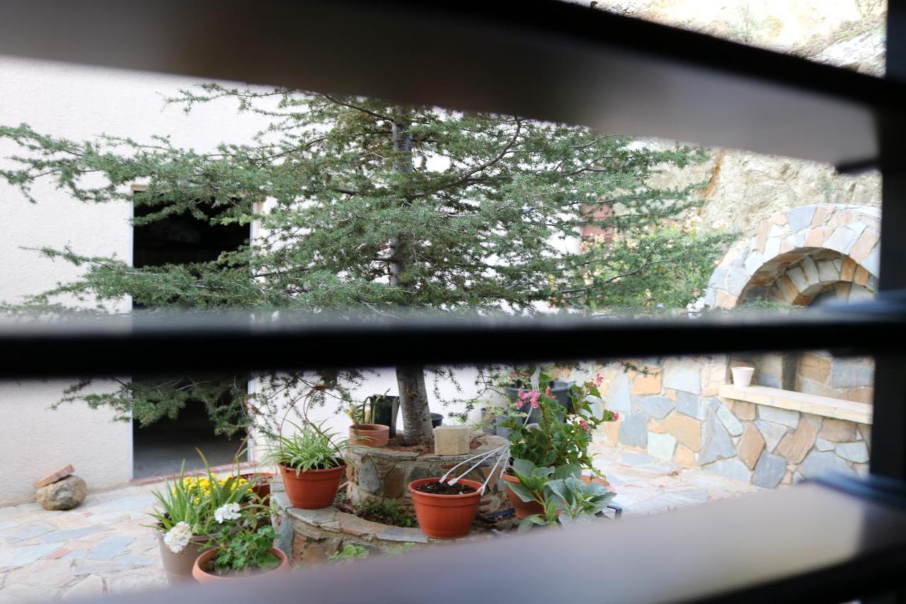 Georgiou Villa in Action Pelendri Extérieur photo