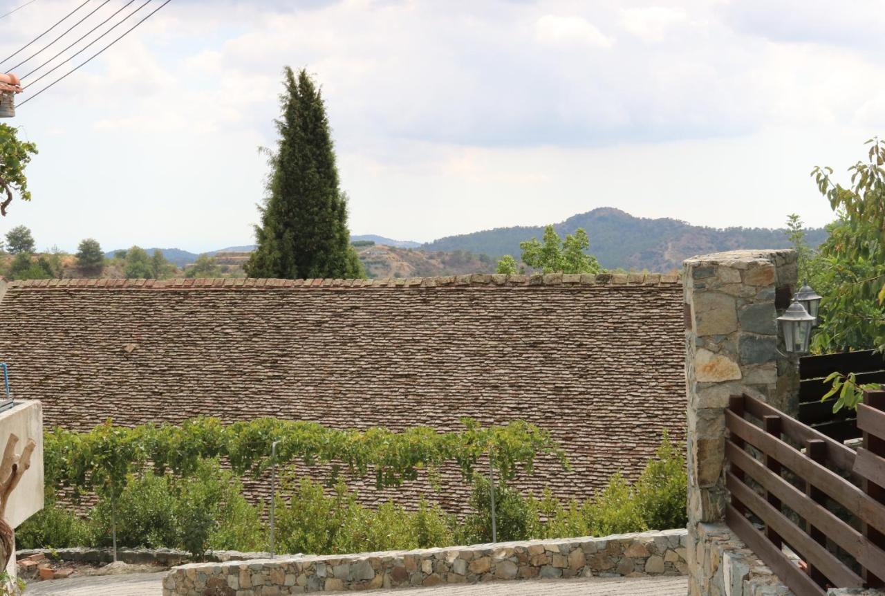 Georgiou Villa in Action Pelendri Extérieur photo